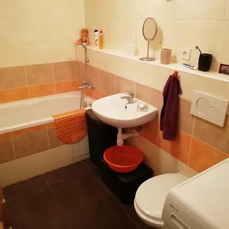 Spacious Close To The X-bionic Sphere *