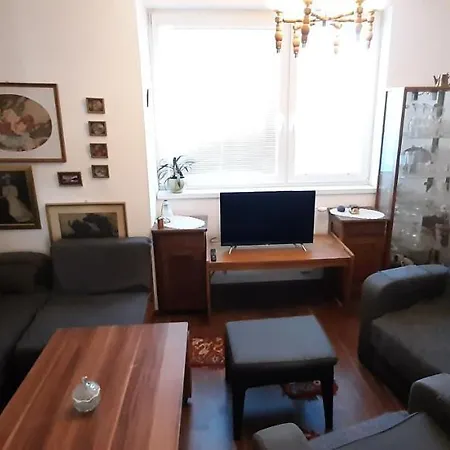 Spacious Close To The X-bionic Sphere 아파트 *